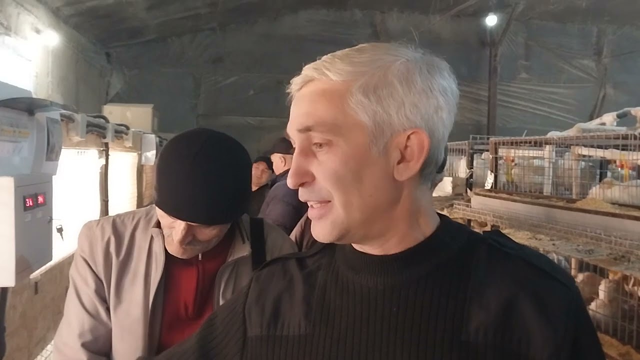 На ферме у Аскера МАРЕМКУЛОВА. Перепелиный дворик / КБР, Урванский район, с.п.Морзох