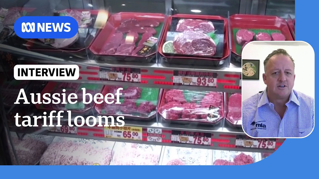 China is about to hit Australian beef with a 55% tariff. What will be the impact? | ABC NEWS