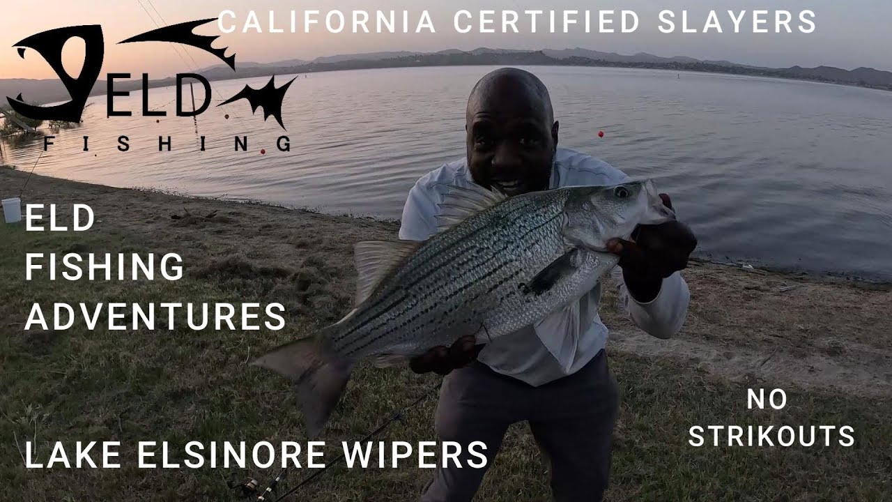 ELD Fishing, Lake Elsinore - Big Wipers & Big Cats! Here Kitty Kitty Kitty!