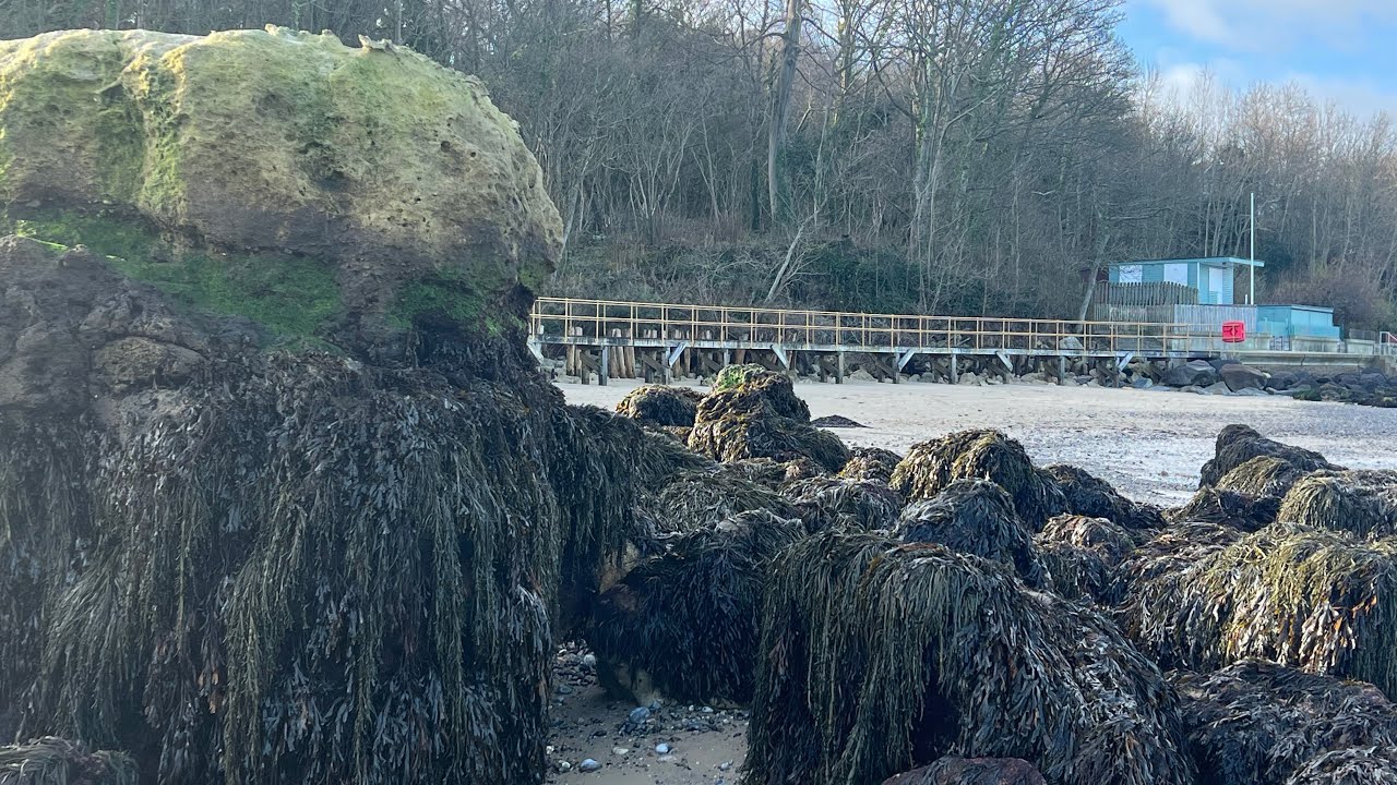 Walk along Seagrove Bay, Seaview, Isle of Wight January 2022