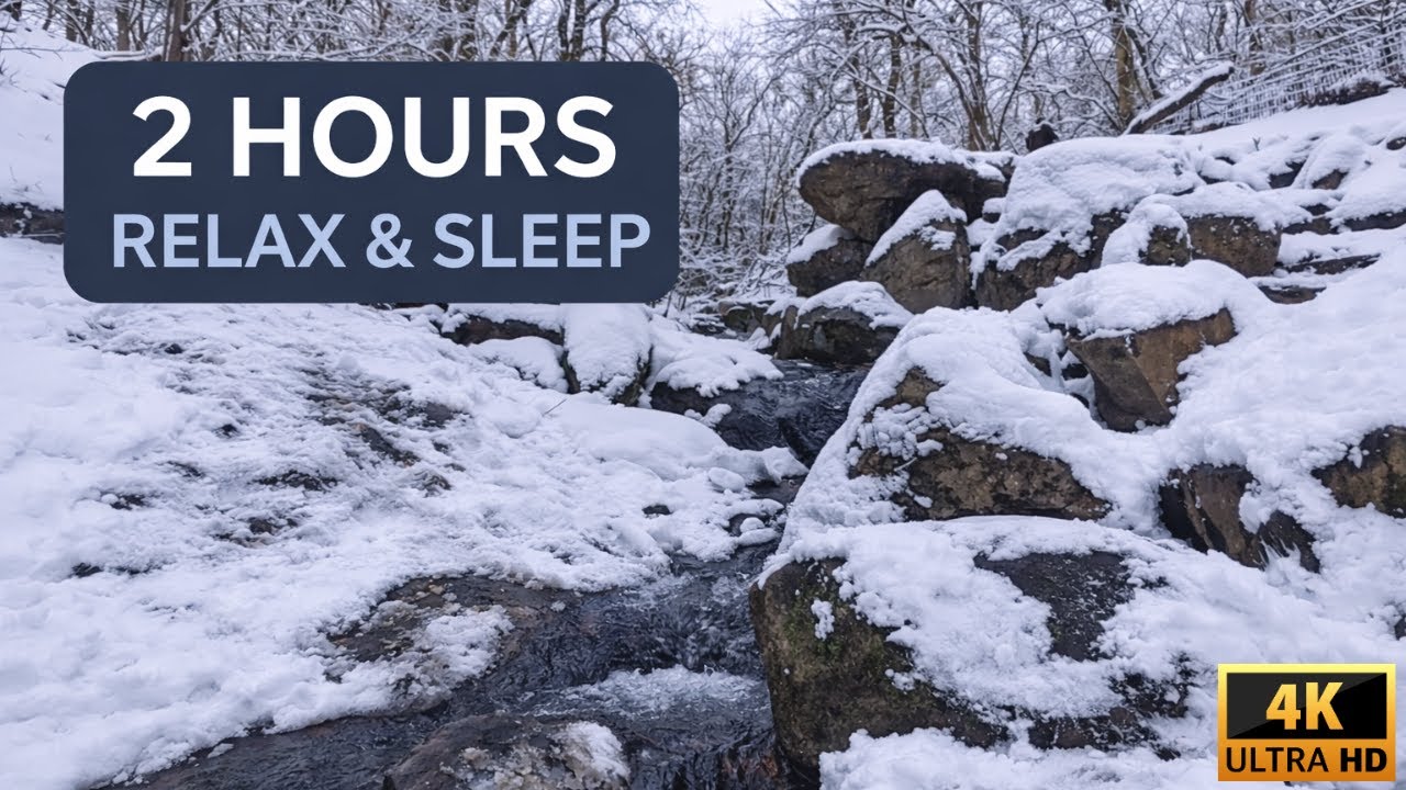 2 Hours of Relaxing River Water Sounds 🌊 Snowy Central Park | Relax, Study, Sleep & ASMR
