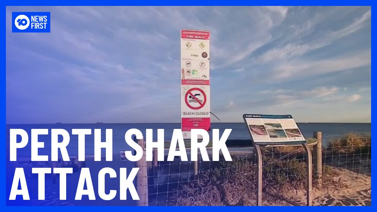 Miraculous Escape For Swimmer Bitten By Tiger Shark At Perth Beach | 10 News First