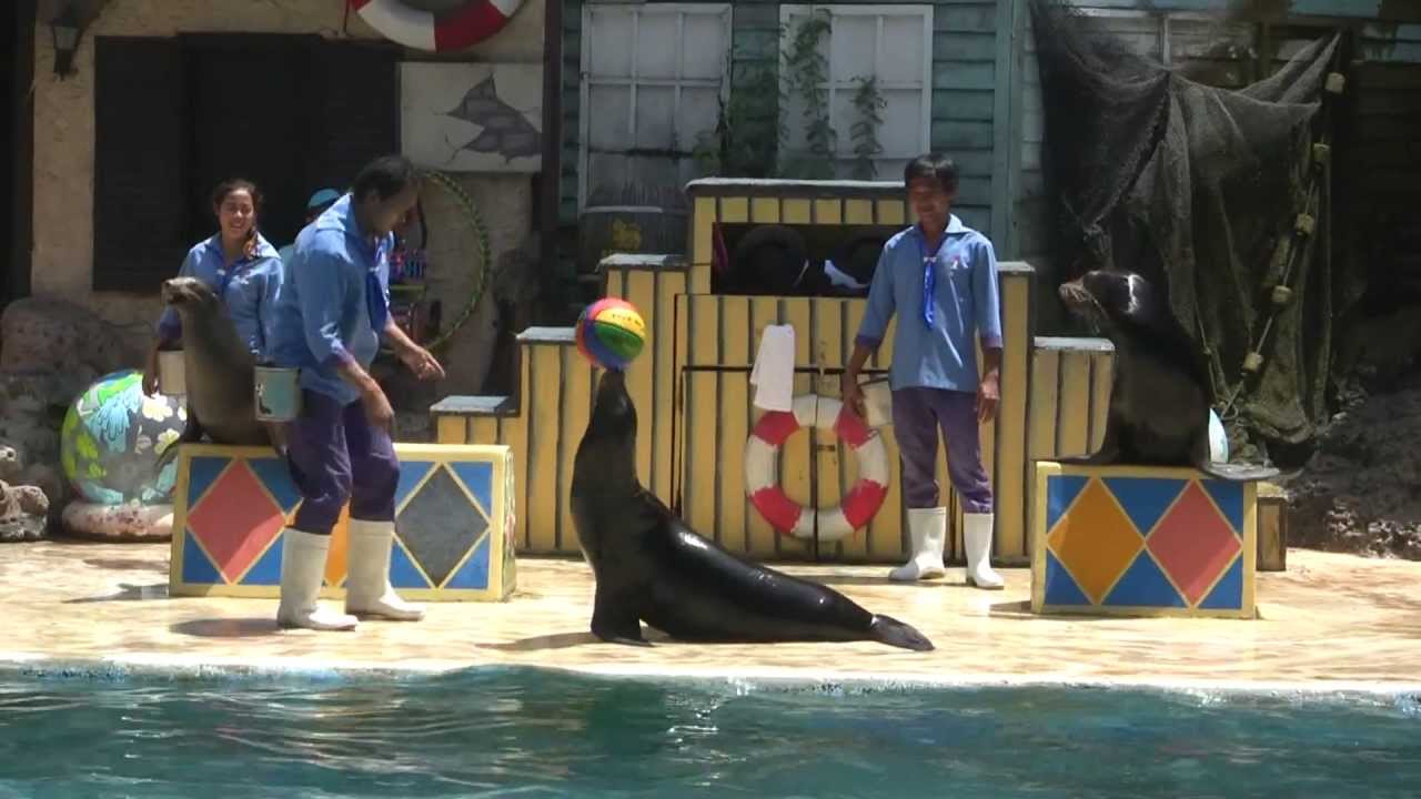 Seal with ball