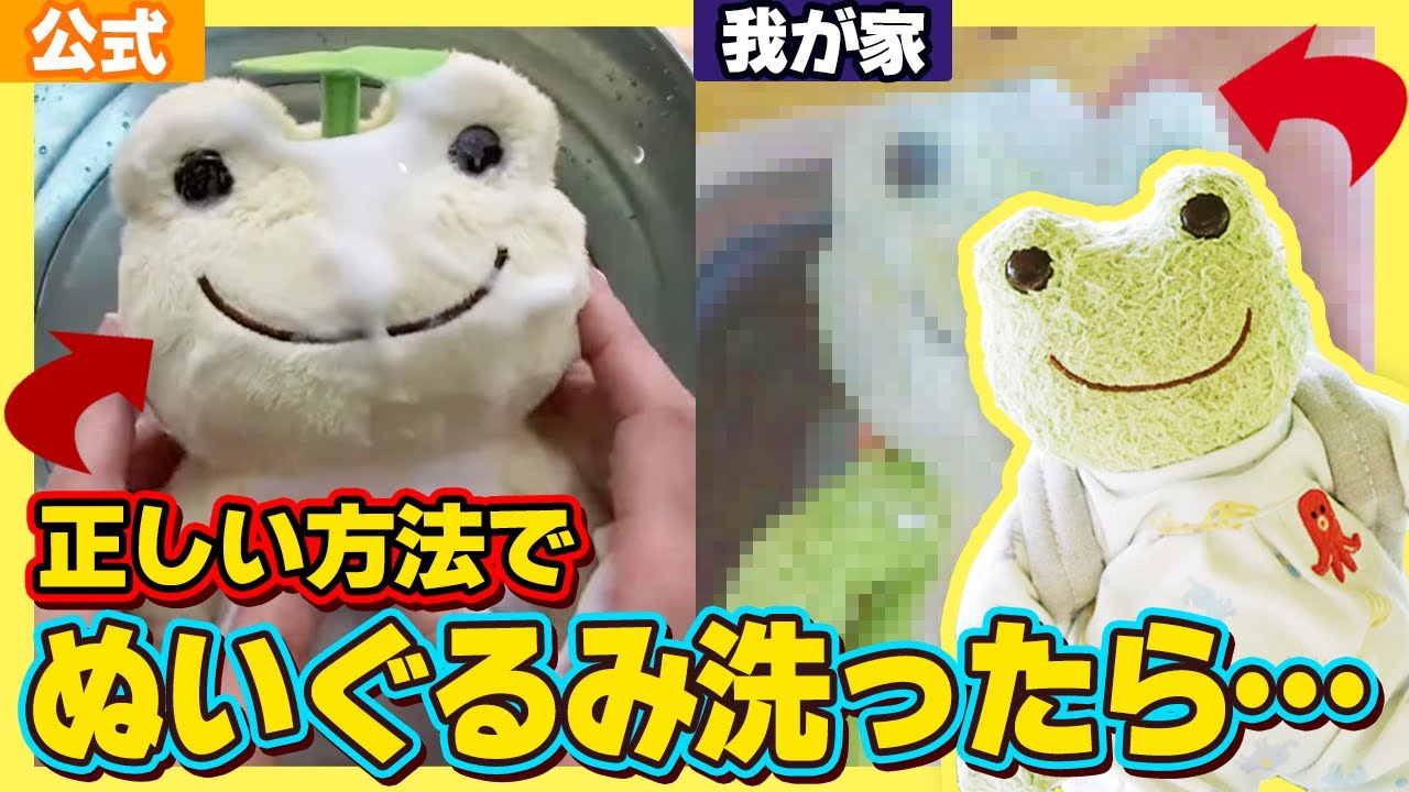 噂のぬいぐるみの洗い方を実践してみた✨【かえるのピクルス】