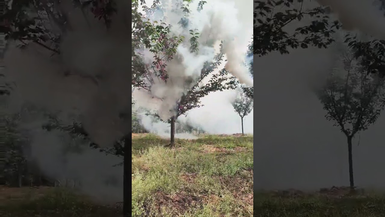Master Mantis Fog,High efflciency pesticide spraying machine.
