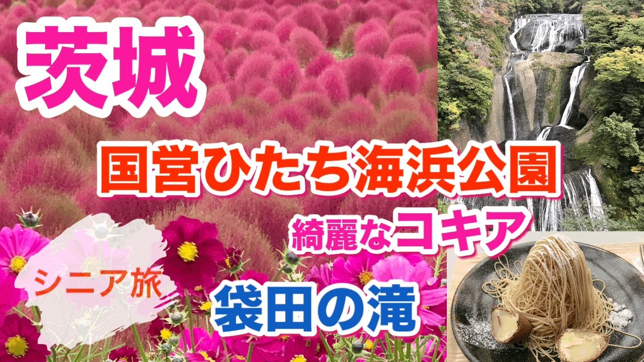 [コキア紅葉]国営ひたち海浜公園のコキアと袋田の滝(2022.10.22撮影)
