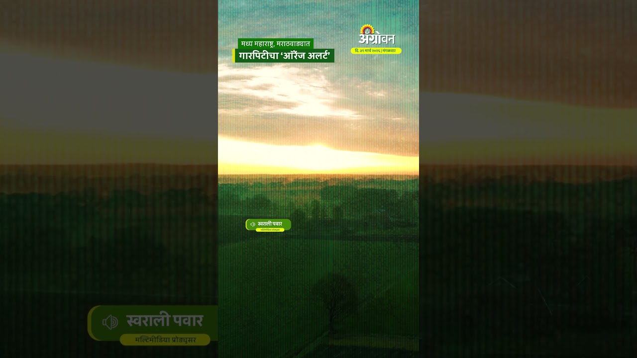 Rain Update: मध्य महाराष्ट्र, मराठवाड्यात, गारपिटीचा &lsquo;ऑरेंज अलर्ट&rsquo; | Agrowon