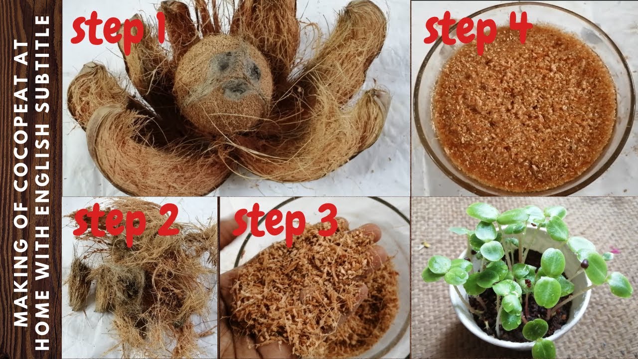How to make Cocopeat from coconut at home in tamil | தேங்காய் நார் உரம் #cocopeat #fertilizer