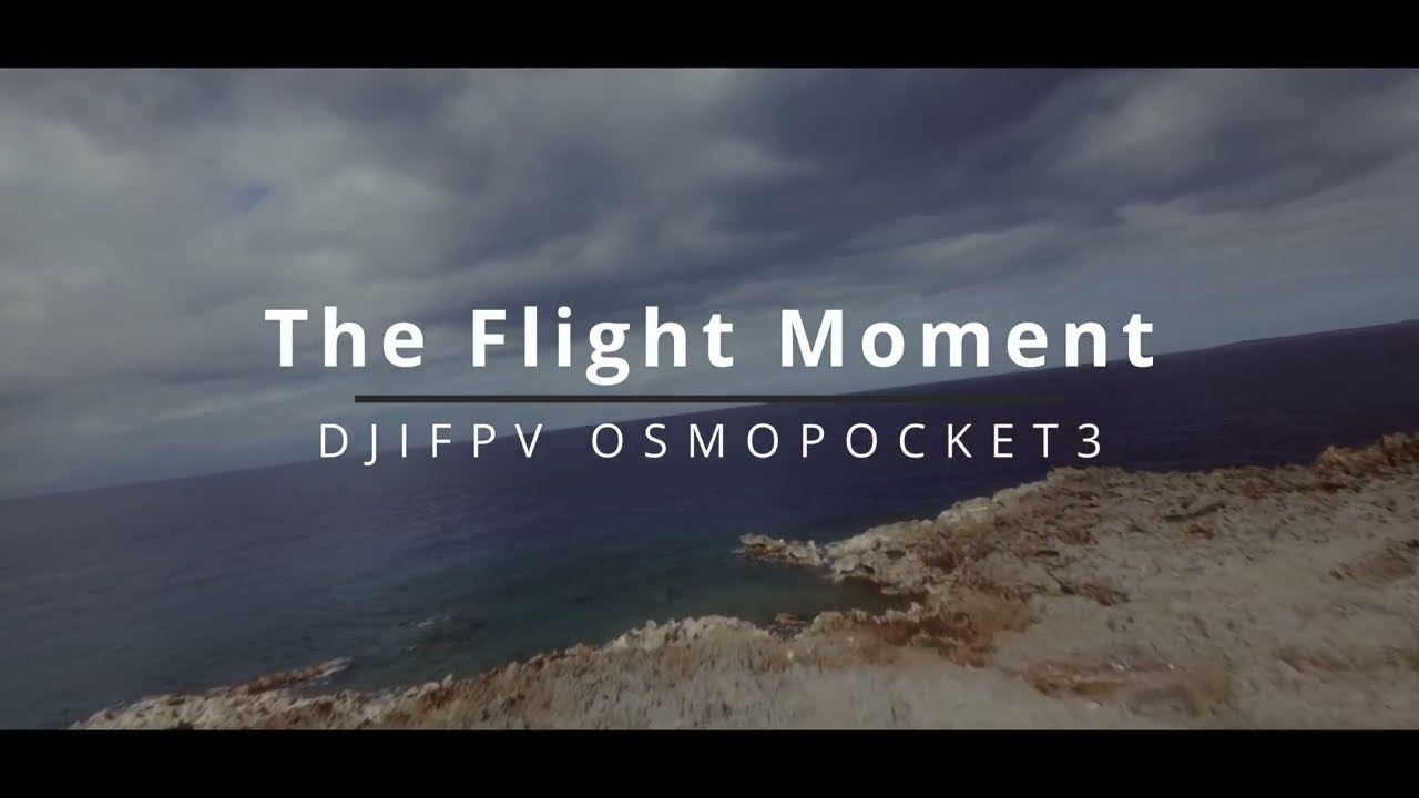 The Flight Moment