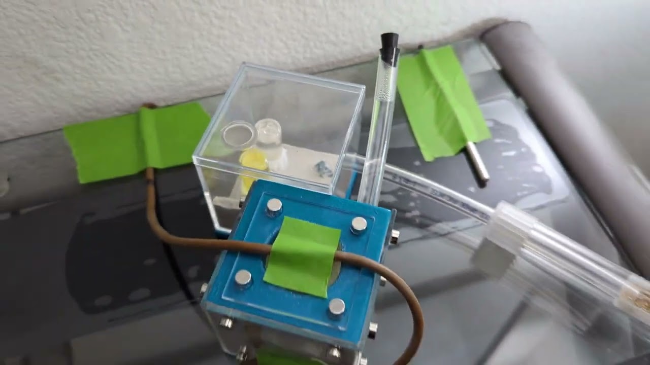 Follow up video of my new honey pot ants colony and the new Tar Heel Ants product!