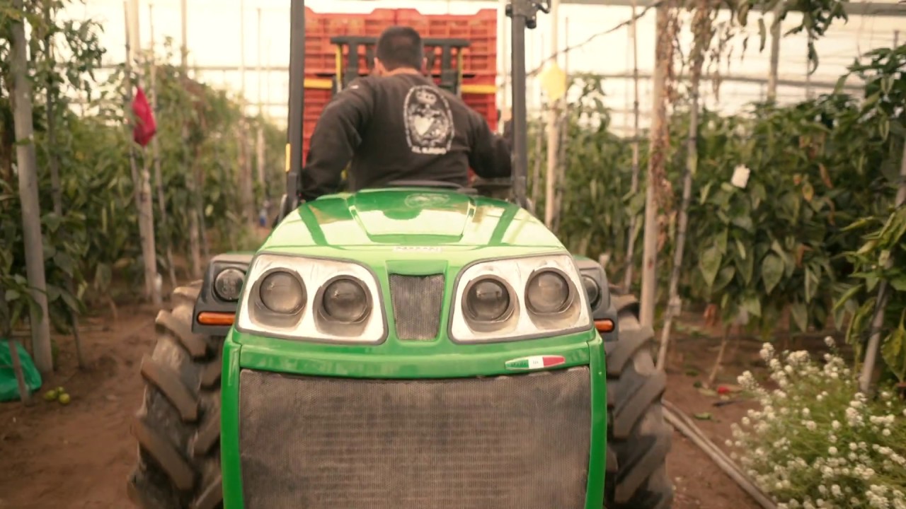 Tractores Ferrari gama alta potencia - K105 - L80 y modelo media potencia Cobram 60