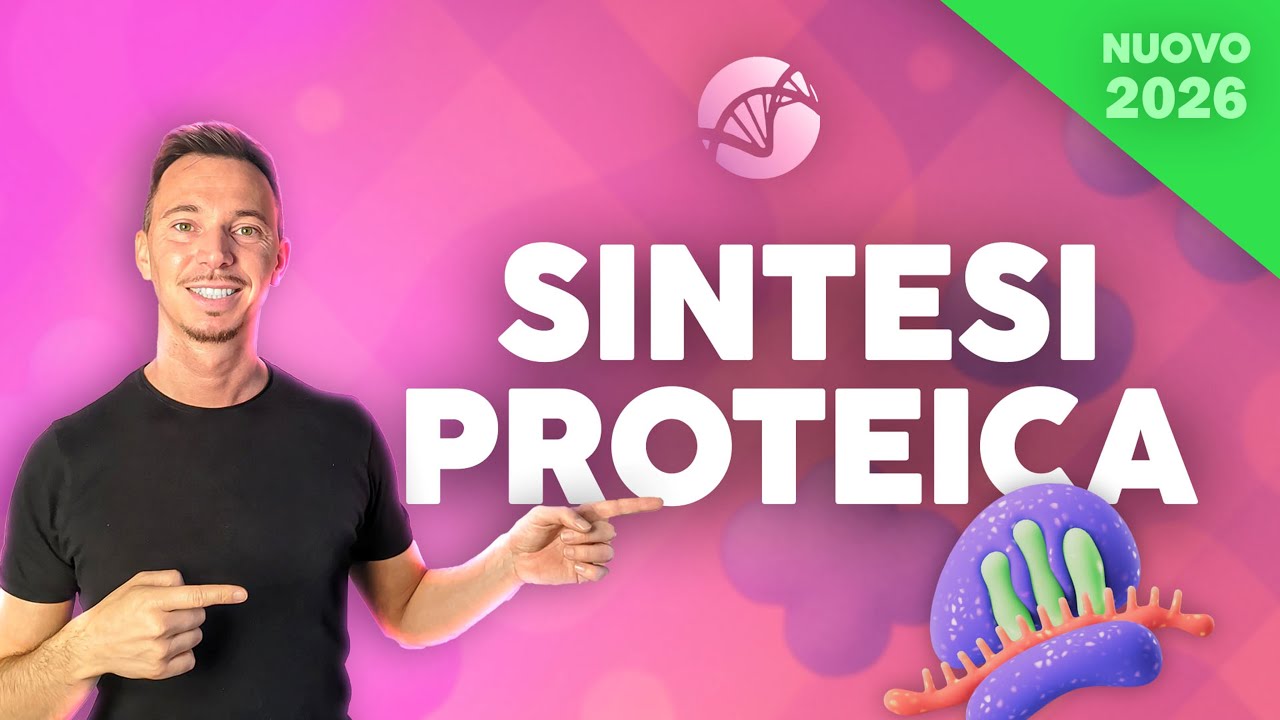 Sintesi Proteica: trascrizione, traduzione e RNA | Corso di Biologia Cellulare 2025