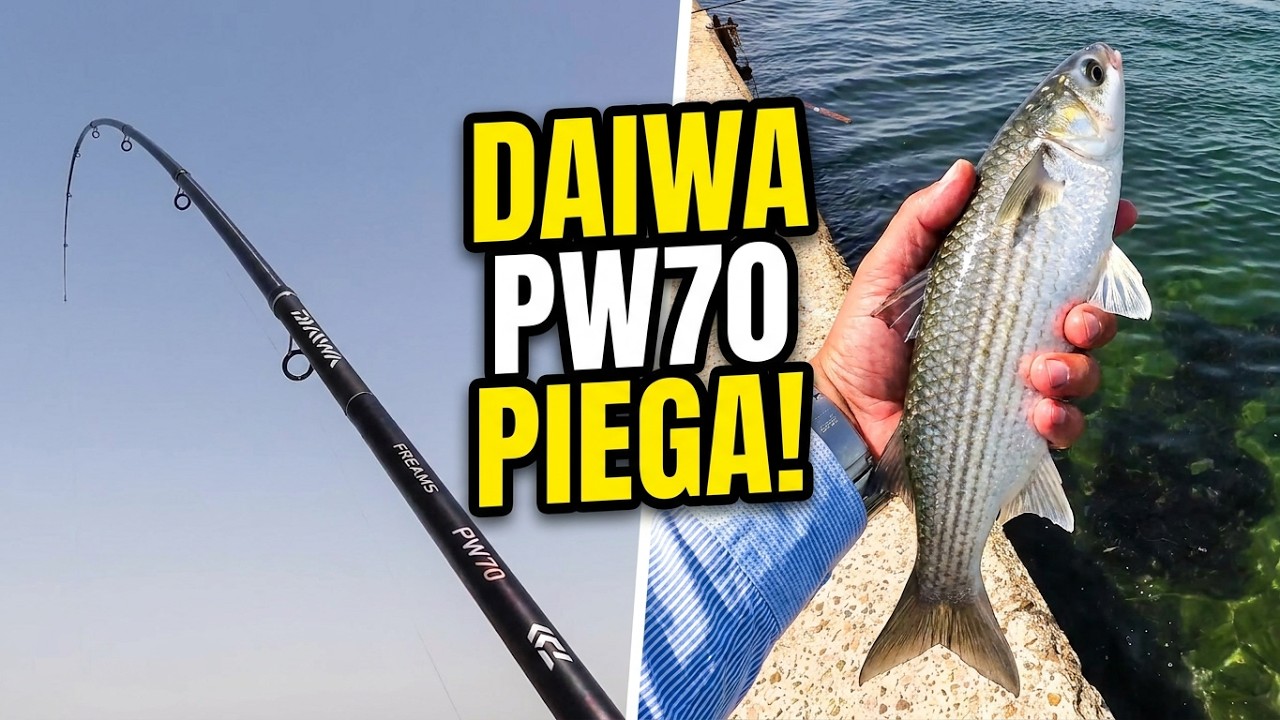 A pesca con la DAIWA FREAMS BOLO EVO PW70