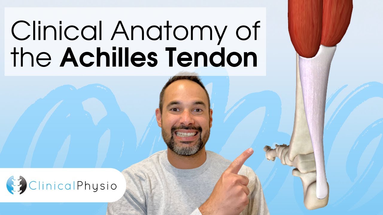 Clinical Anatomy of the Achilles Tendon | Expert Physio Guides you through 3D Anatomy Tutorial!