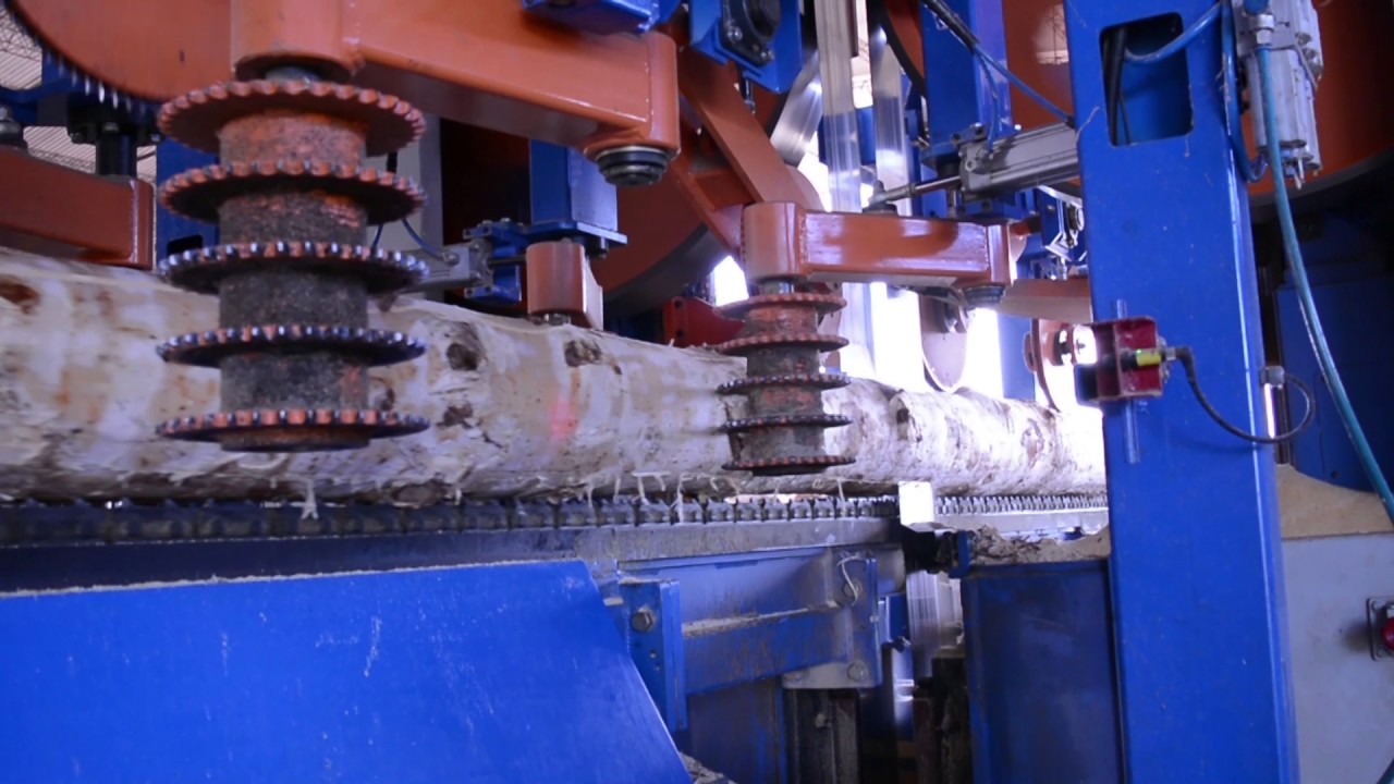 Serra de fita Dupla | Twin BandSaw | Sierra de Cinta Gemela