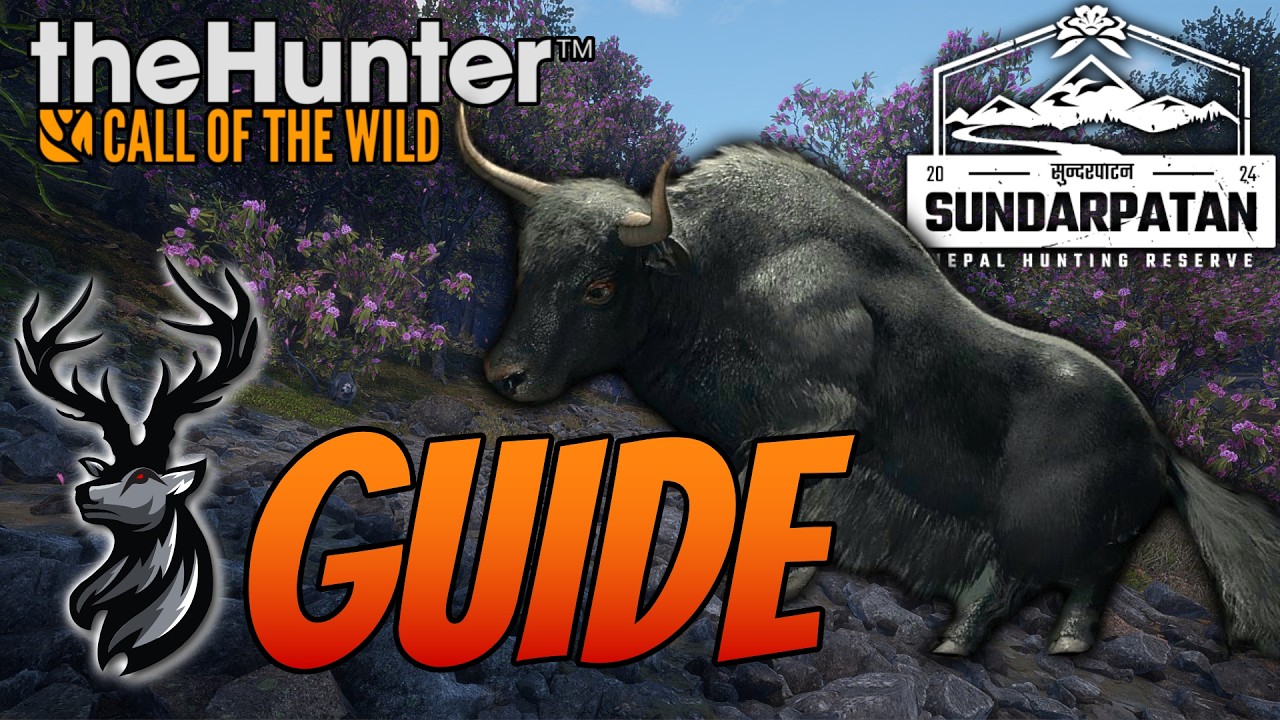 Wild Yak Guide For Sundarpatan Thehunter Call Of The Wild