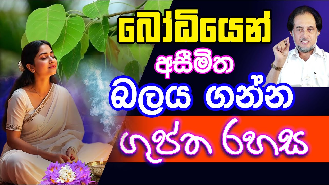 බෝධි වෘක්ෂය ශක්තිය අවශෝෂණය කරන හැටි.
