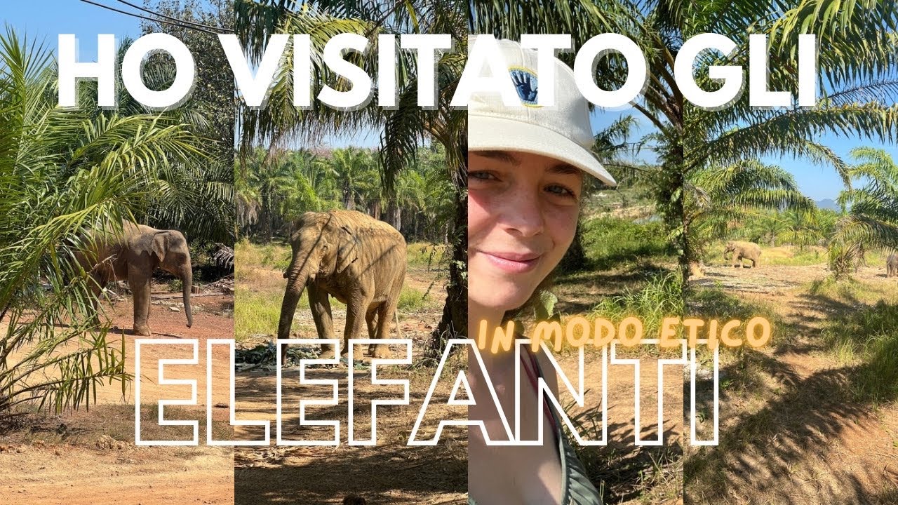 SANTUARI PER ELEFANTI ETICI, MA ETICI PER DAVVERO 🐘
