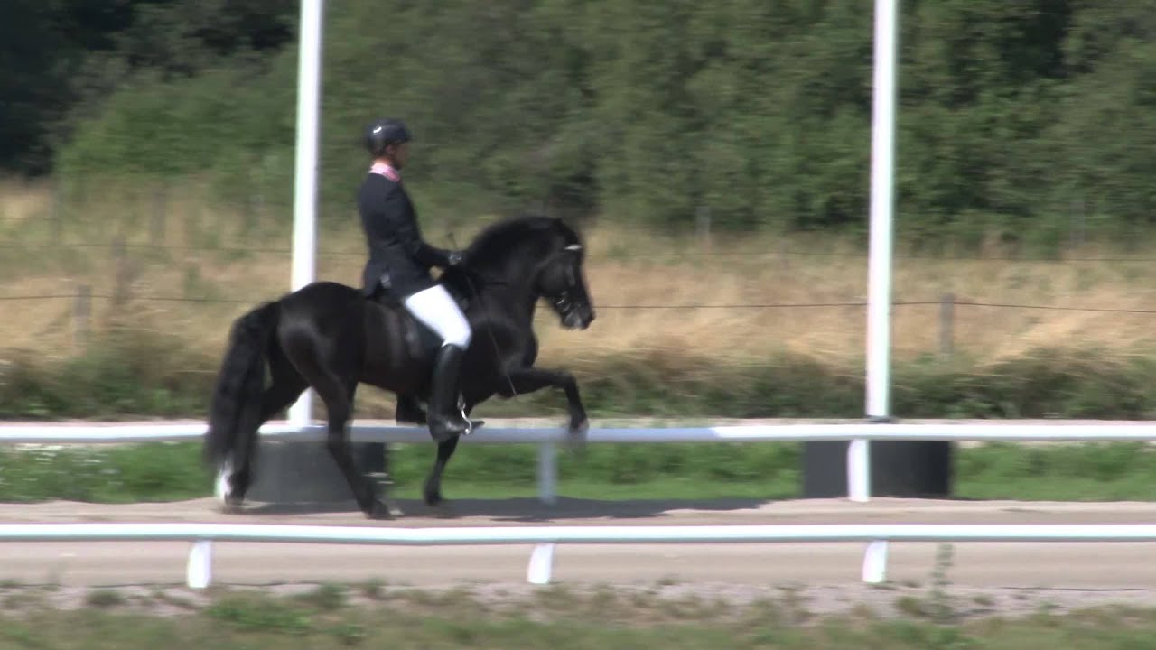 T1 Prel 8,13 NC2012 Nils Christian Larsen, Moli fra Skridu