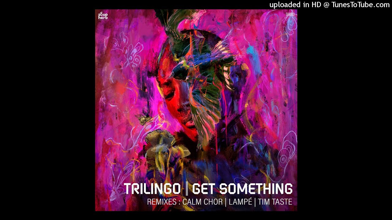 Trilingo - Get Something (Original Mix) [Soupherb Records]