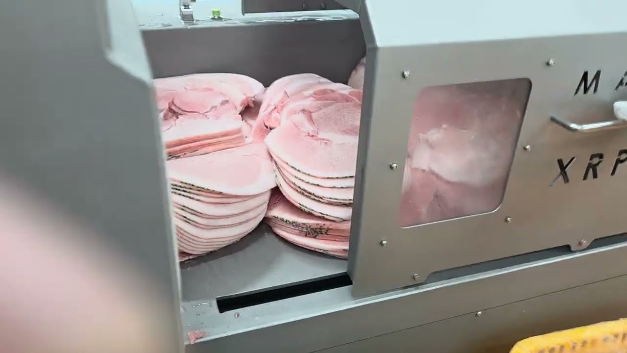 냉동고속슬라이서( 더마스터)