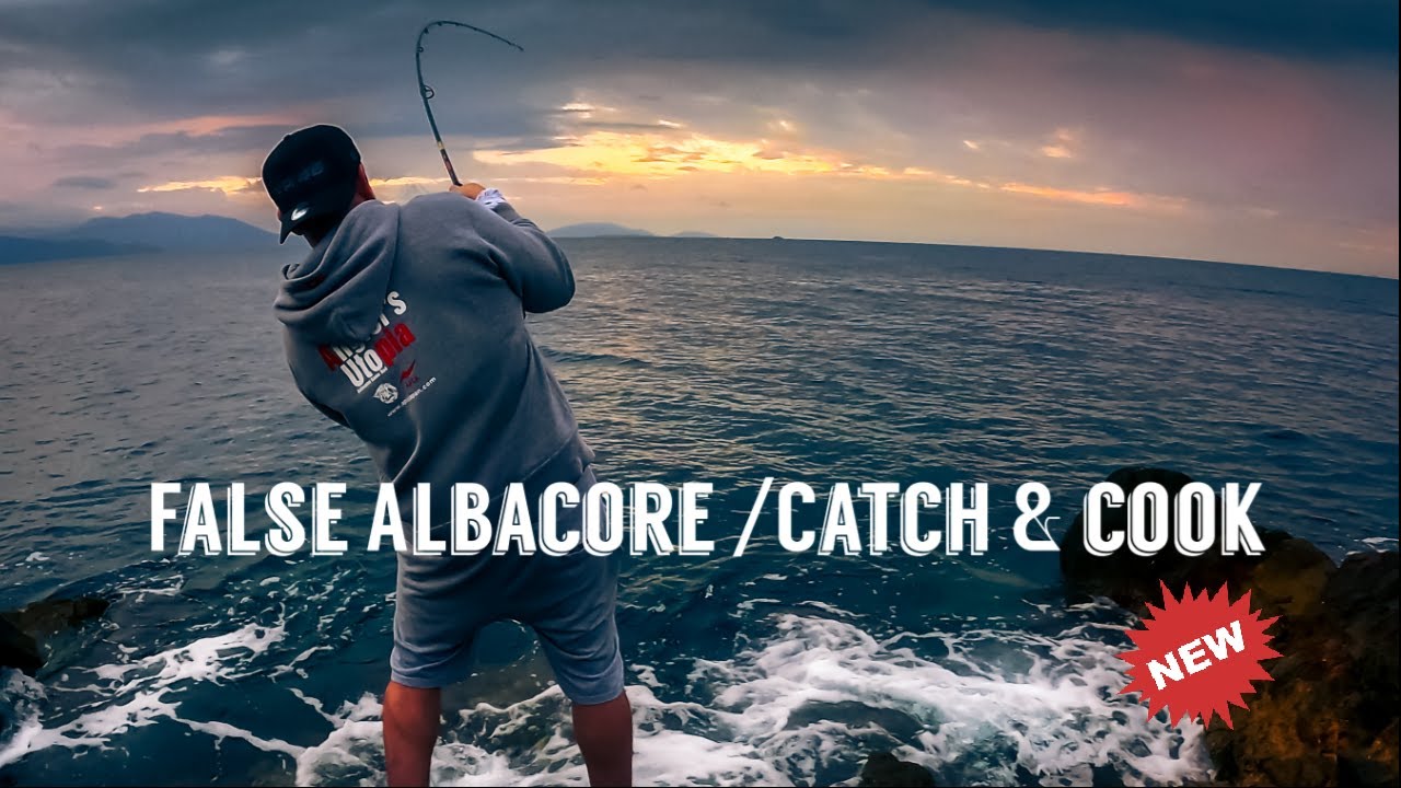 Falce Albacore off the Rocks / Fishing Stories / Catch & Cook 🐟