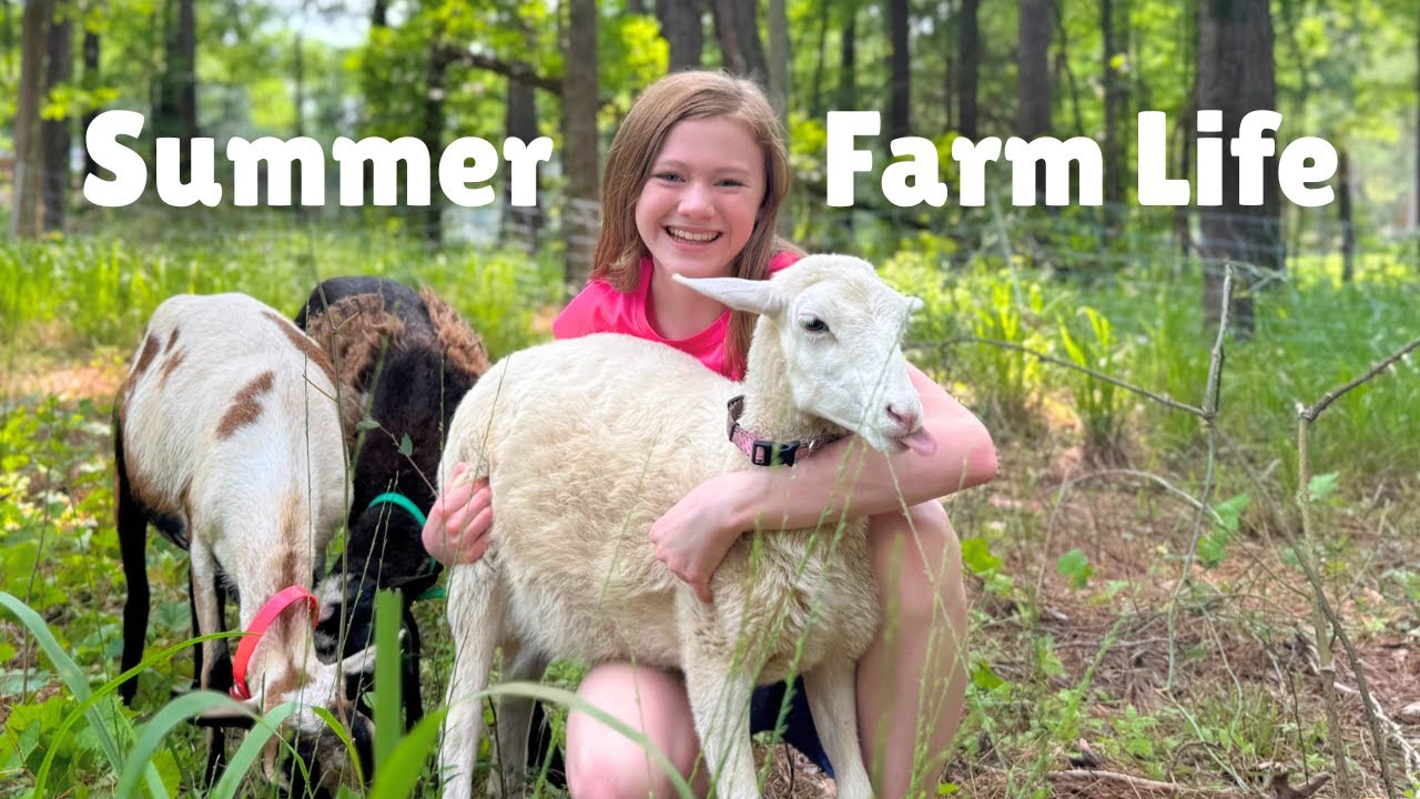 A summer day with 50+ FARM ANIMALS