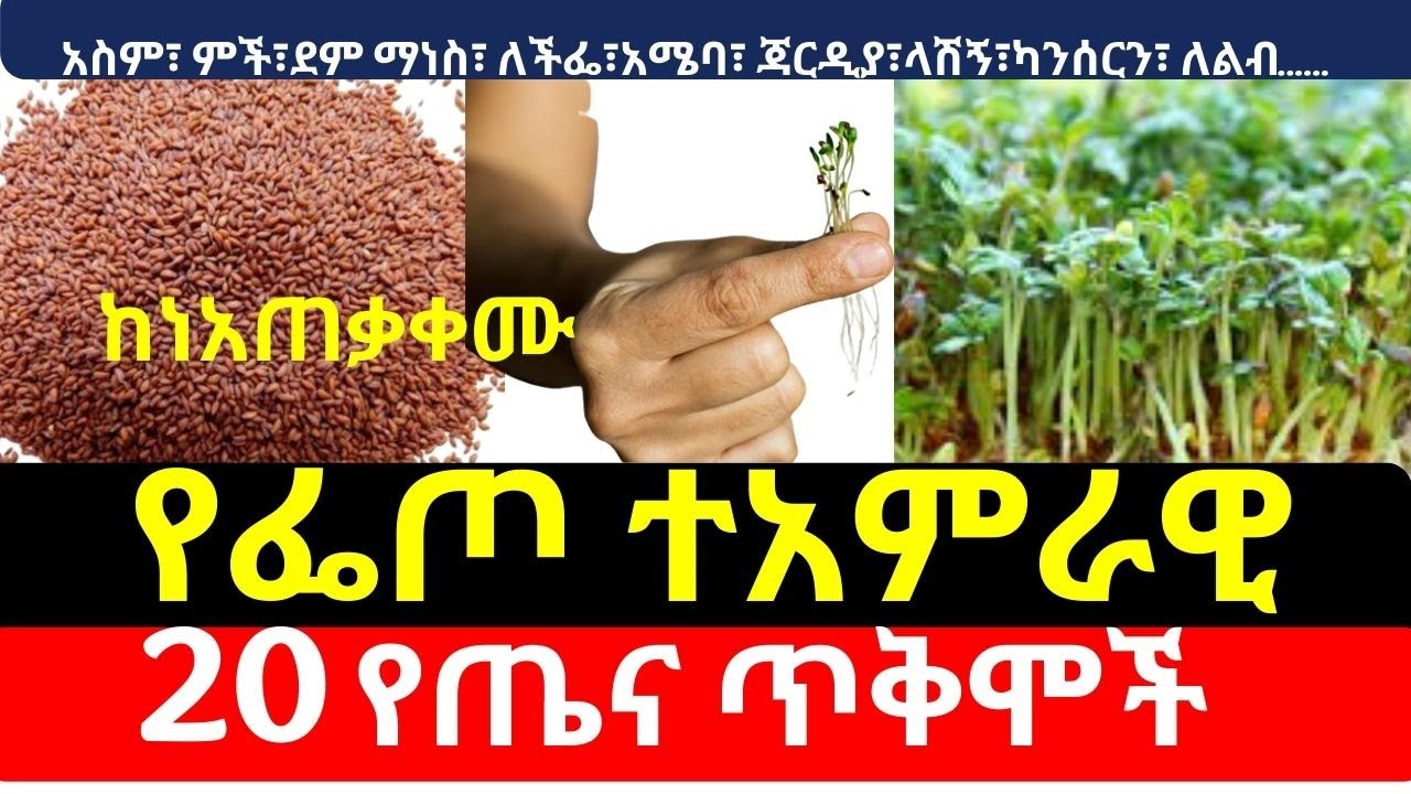 የፌጦ ተአምራዊ 20 የጤና ጥቅሞች  ከነአጠቃቀሙ - Garden Cress health benefits