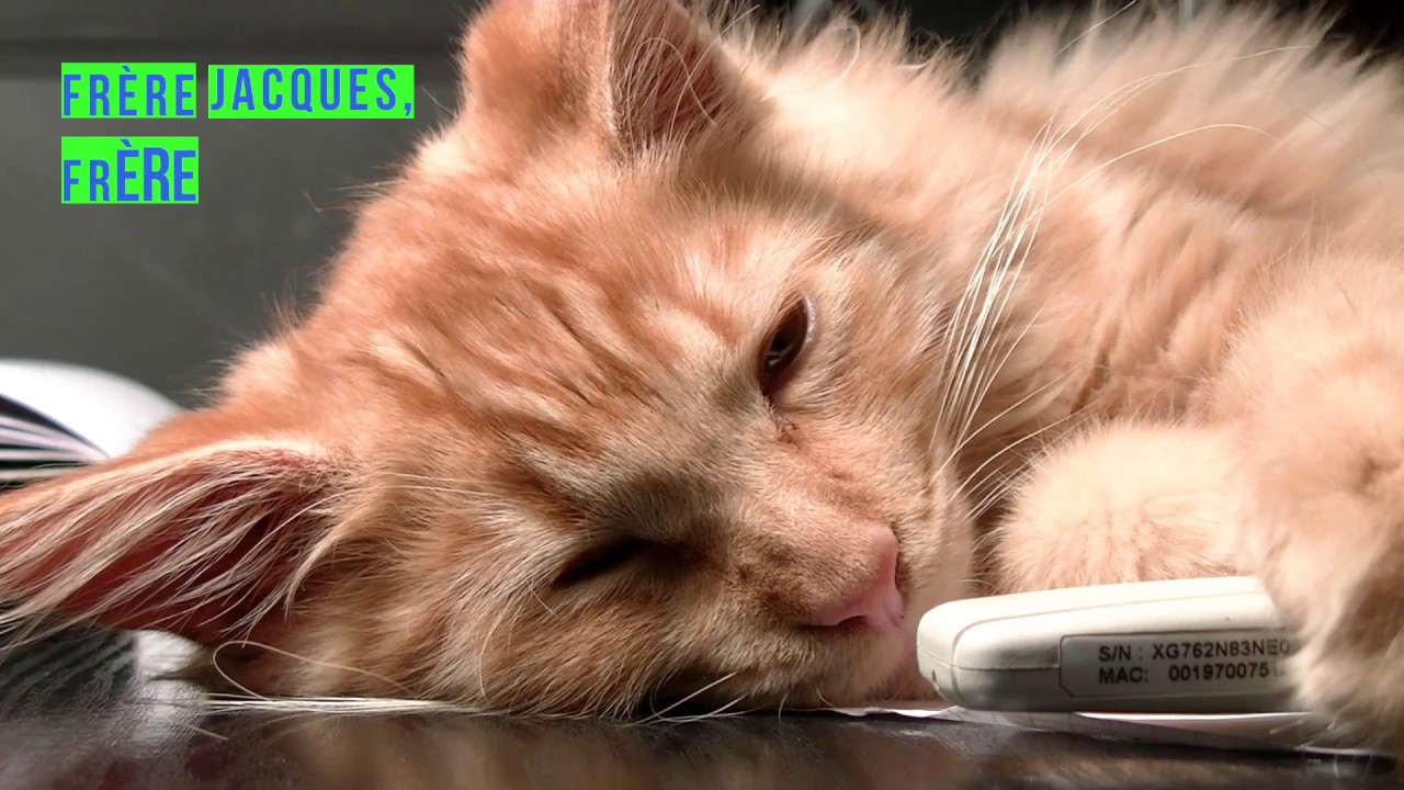 Frère Jacques - French version - Singalong - Karaoke