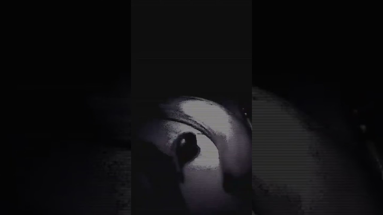 HOSTEL FÜR OBST | Banane 2 Part III