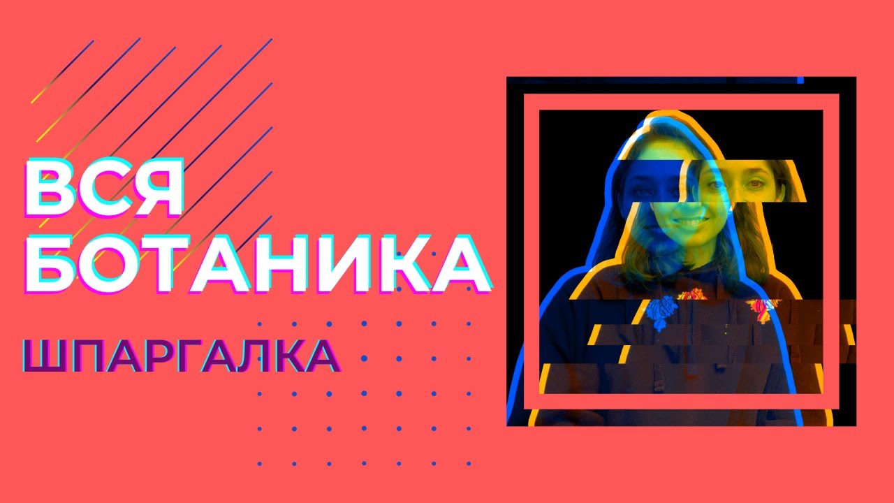 Вся ботаника за 30 минут &mdash; Шпаргалка. ЦТ, ЦЭ, ЕГЭ