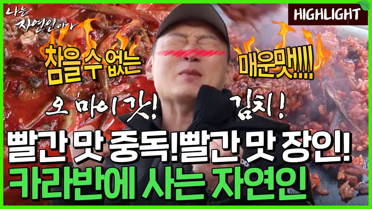 숲속 카라반, 빨간 맛의 자연인이 산다..!!｜자연인 하이라이트 440회