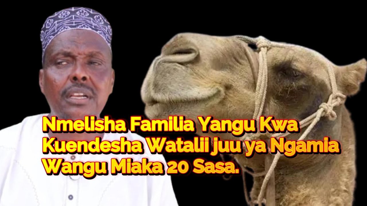 Ngamia wangu amekua kitega uchumi kupitia watalii ila sasa nimekwama.