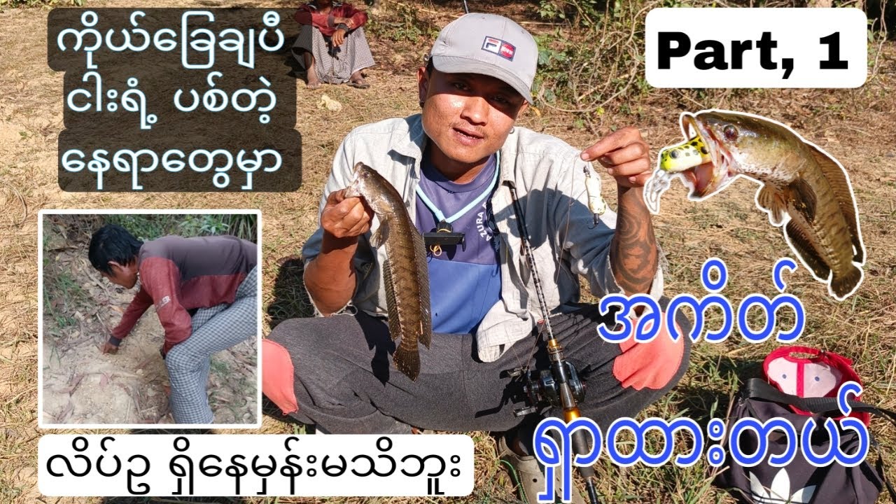 အကိတ်တင်ပေးပါဆိုလို့ သဘာဝထဲကအကိတ်နဲ့  လိပ်ဥရှာနည်း🤭 #snakeheadfishing #vlogbykoaz