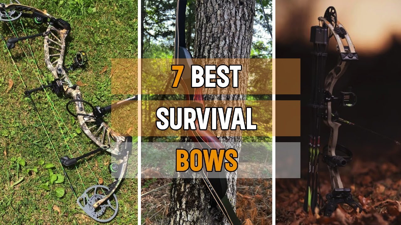 Best Survival Bows in 2025 (Top 7 Picks!)