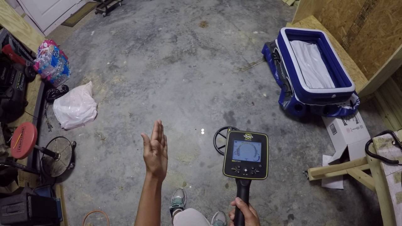 MX Sport Firmware Issue and Metal Detecting Hunt