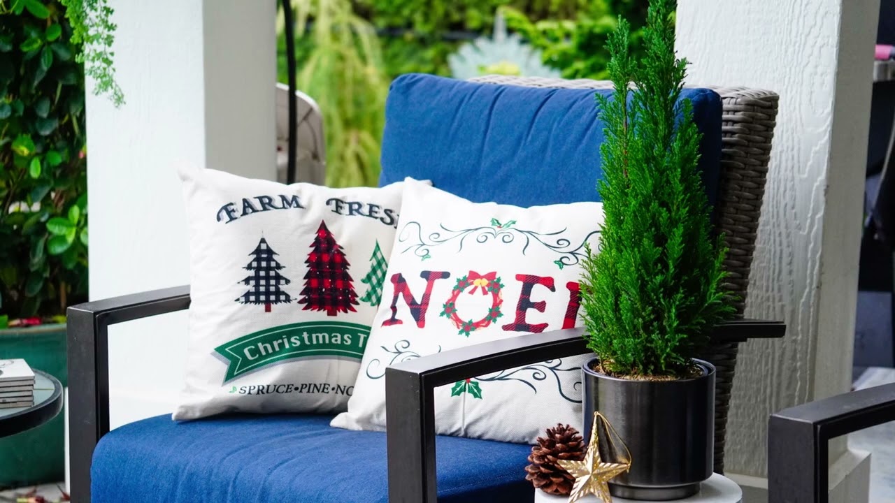 Product Highlight: Ellwoodii (Euro Cypress)