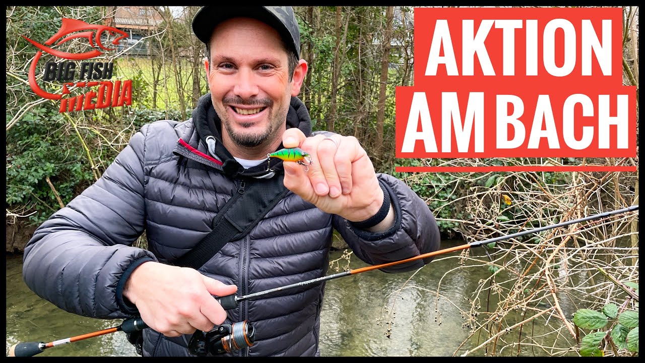 So ein Mist - DAS w&auml;re es gewesen - Angeln am Bach