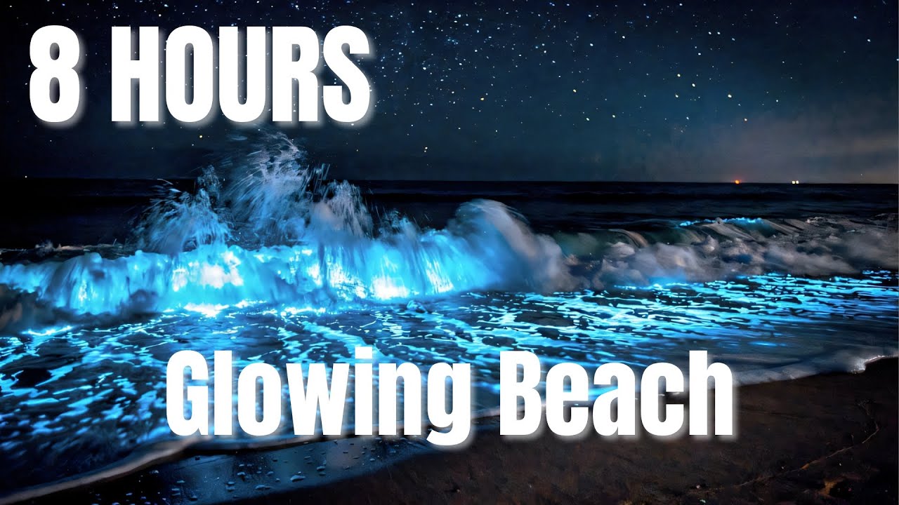 Midnight Glowing Waves 🌌 8 Hours Bioluminescent Beach Sleep Music ♫ Shoreline Lullaby