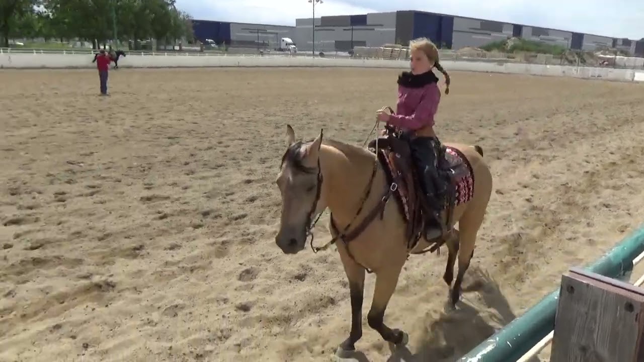 2023 Region 4 Class 540 Walk Trot 10 & Under Ranch Horse Rail Pleasure
