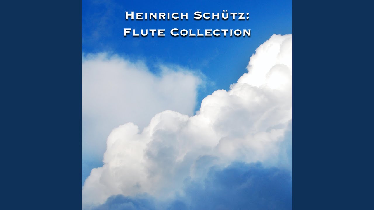 Ich bin eine rufende Stimme