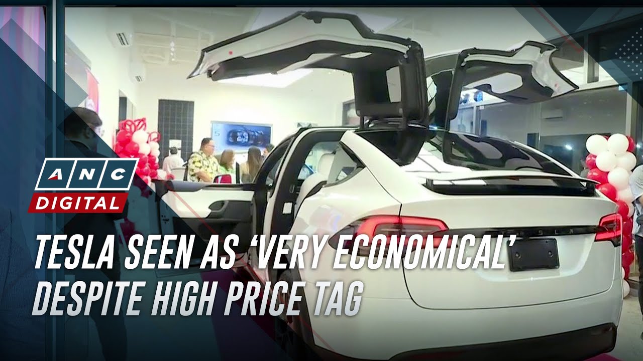 Tesla seen as ‘very economical’ despite high price tag | ANC