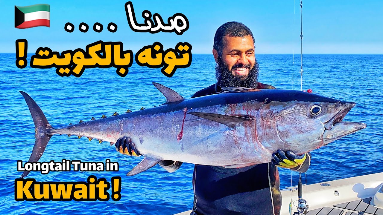 صدنا التونه بالكويت ! #جديد 2020 Spearfishing