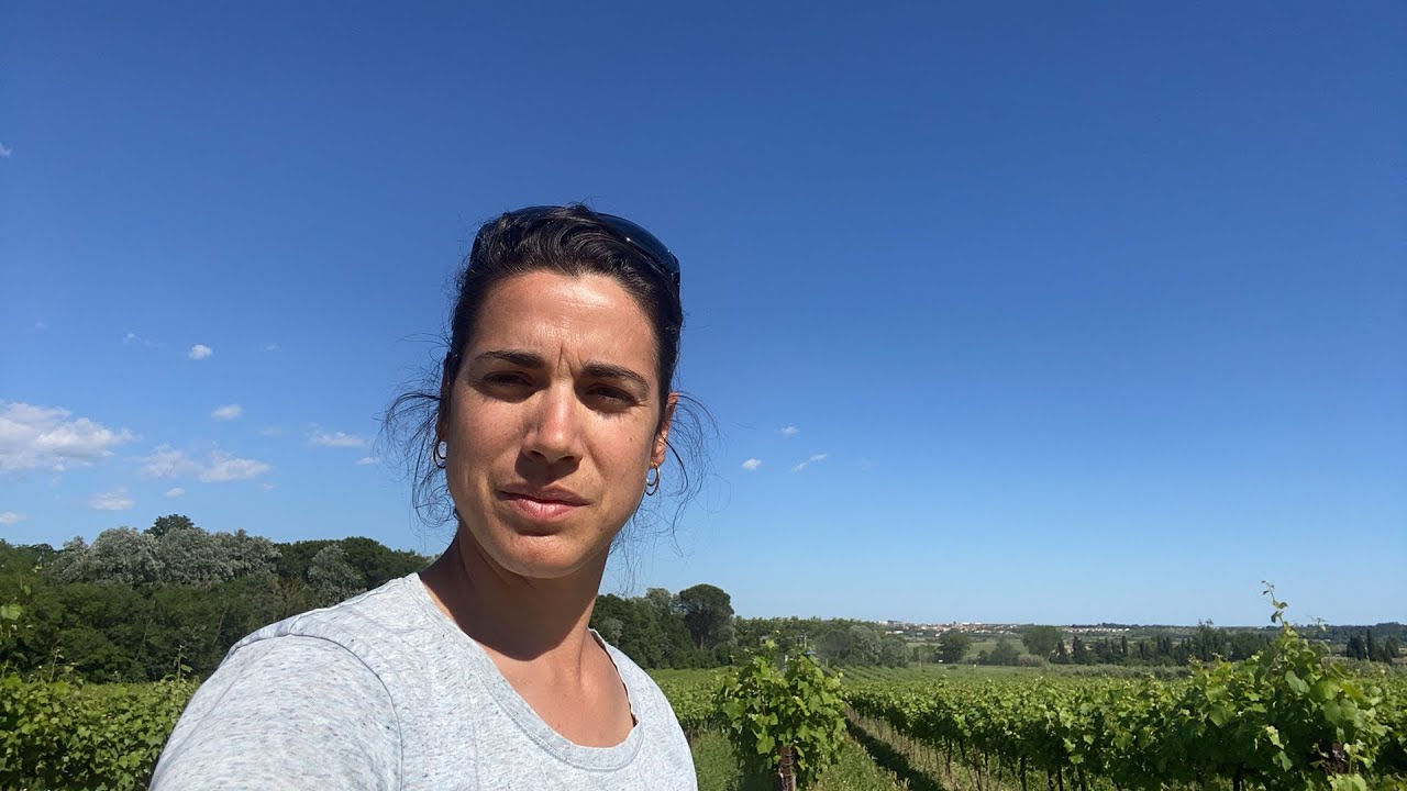 Épampreuse Ferrand