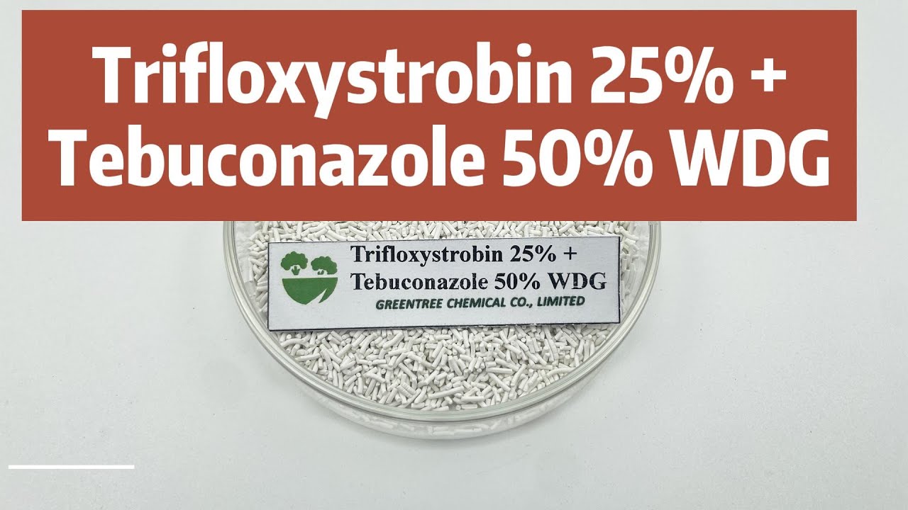 Trifloxystrobin 25% +Tebuconazole 50% WDG  fungicide with both protective and therapeutic effects