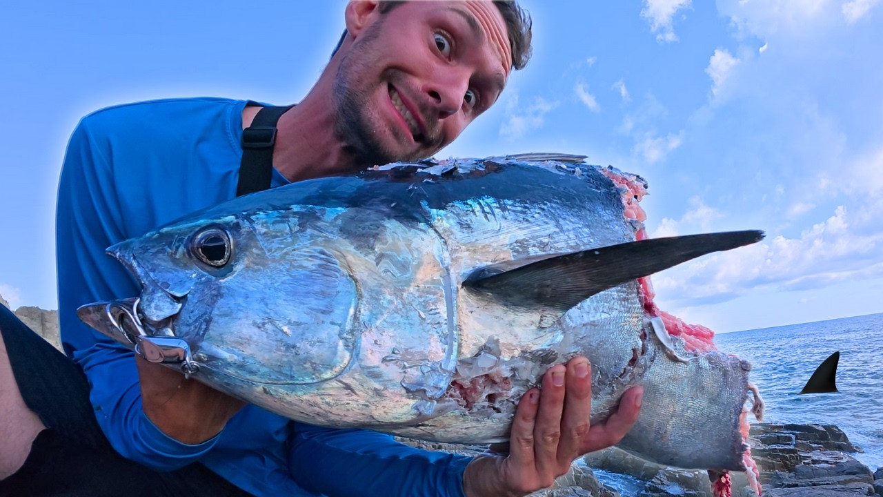 6 jours à pêcher du GROS sur la côte Est de l’Australie ! (Les requins sont là)