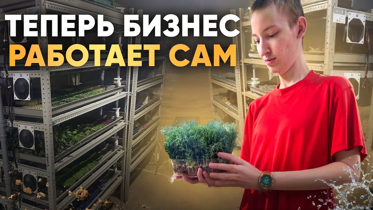 Как настроить стеллаж гидропоники для выращивания микрозелени?!