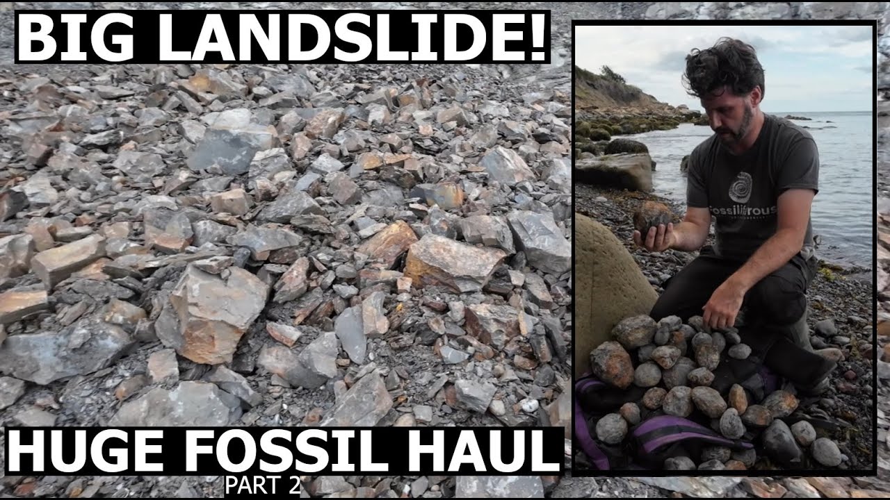 Fossil Hunter finds a fresh Landslide FULL of Fossils - splitting with the hammer!