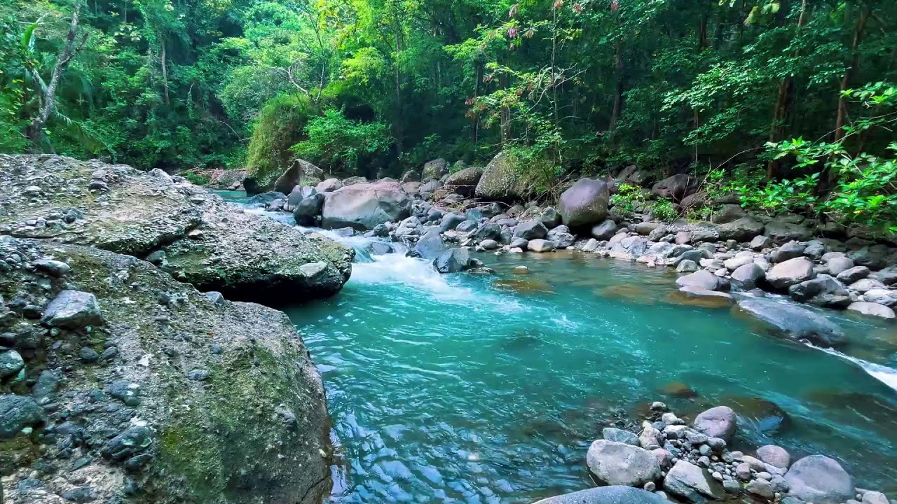 Sleep Better with Peaceful River Sounds | Relaxing Water White Noise for Insomnia & Anxiety