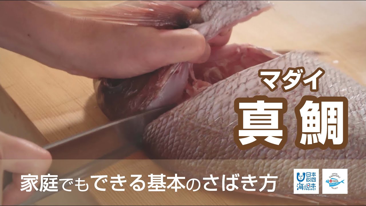 真鯛（まだい）のさばき方 - How to filet Red Sea Bream -｜日本さばけるプロジェクト（海と日本プロジェクト）